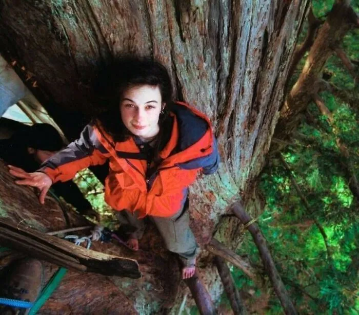 In December 1997, Julia "Butterfly" Hill Climbed A 1,000-Year-Old California Redwood Tree As Part Of Efforts To Keep It From Being Knocked Down By Loggers