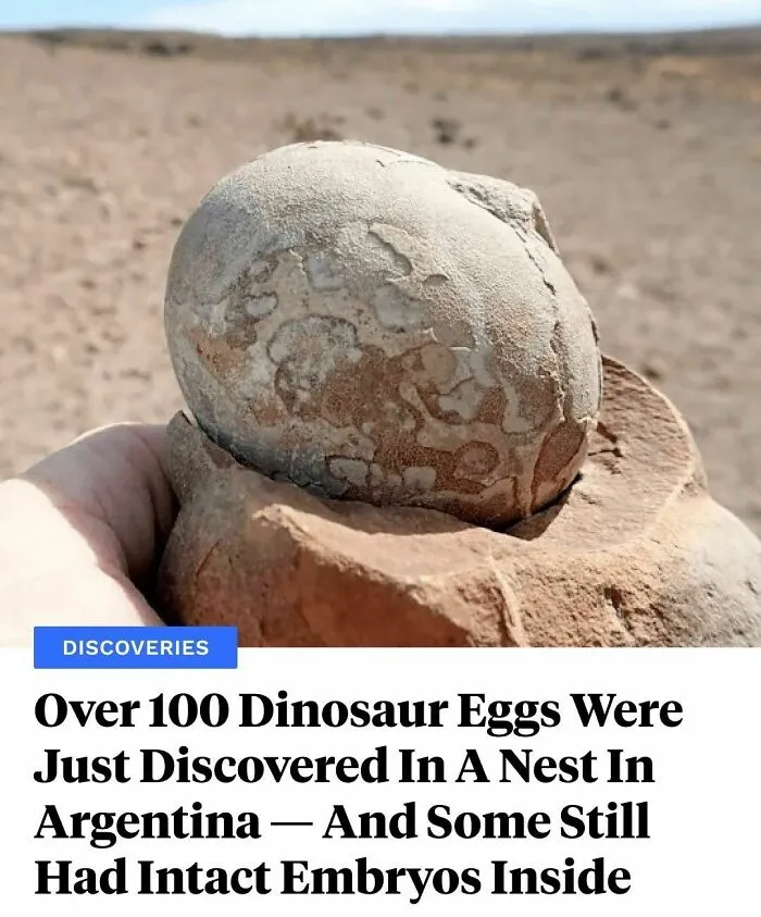 "I Went To This Site Aiming To Find At Least One Nice Dinosaur Skeleton. We Ended Up With 80 Skeletons And More Than 100 Eggs."