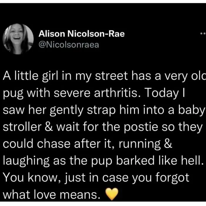 If You Are Having A Bad Day, These 50 Wholesome Posts May Cheer You Up