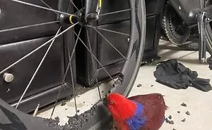 50 Very Random Pics To Bring A Sprinkle Of Joy Into Your Life
