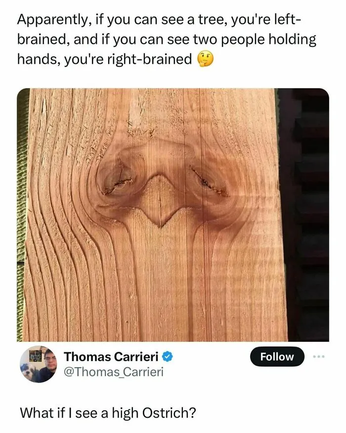 45 Ridiculously Funny Memes To Scroll Through When You’re Having One Of Those Days