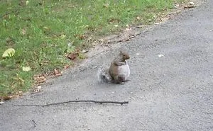 50 Very Random Pics To Bring A Sprinkle Of Joy Into Your Life