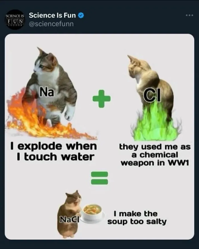 A hilarious science meme featuring cats as sodium and chlorine, humorously explaining their reaction forming salt.