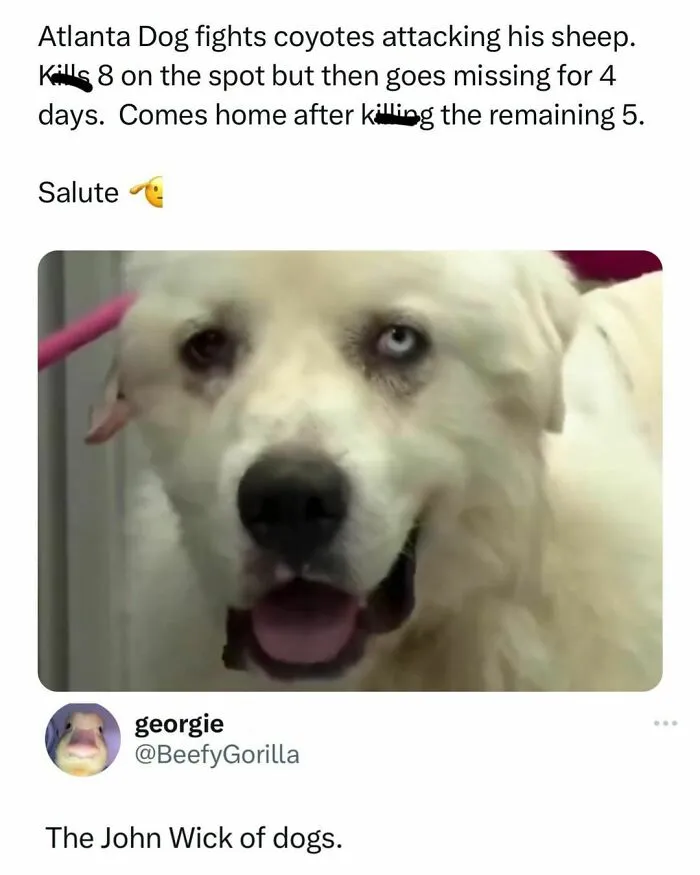 50 Funny And Relatable Posts That May Be The Most Entertaining To Men