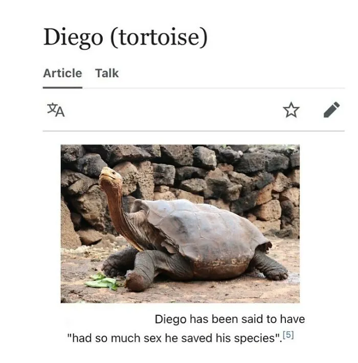 40 Times People Found Such Hilarious Gems On Wikipedia, They Just Had To Share (New Pics)