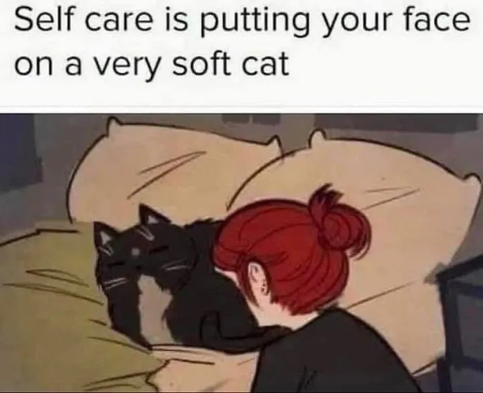 50 Times Cats Proved They’re The Masters Of Meme-Full Moments, As Seen On This IG Page