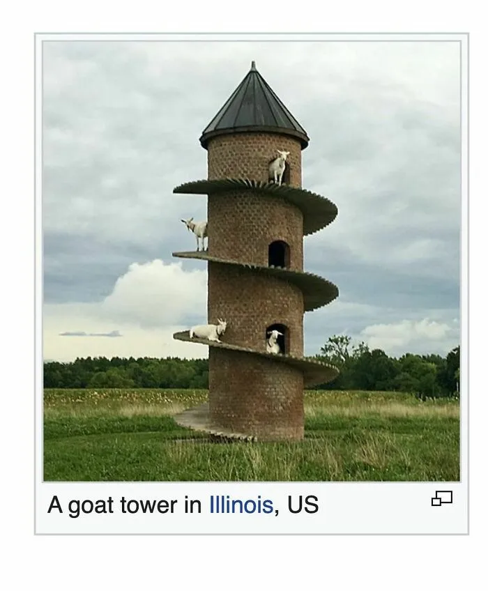 40 Times People Found Such Hilarious Gems On Wikipedia, They Just Had To Share (New Pics)