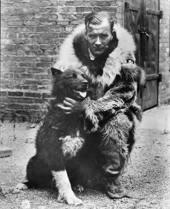 In 1925, Residents Of The Small Town Of Nome, Alaska Faced A Potentially Fatal Epidemic And Very Few Options To Save Them From Death. that Is, Until Balto Showed Up, A Sled Dog Who Rose To The Occasion And Saved The Small Town From Certain Death