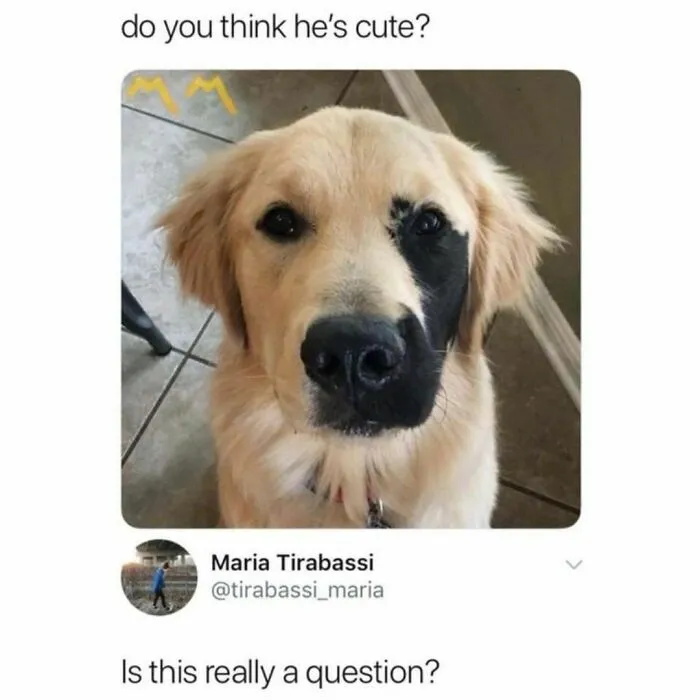 50 Heartwarming Posts To Combat The Negativity Of The World