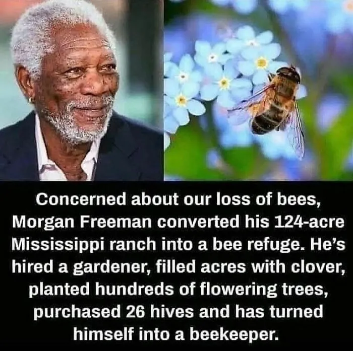 50 Wholesome Memes Shared By This Page To Brighten Up Your Day