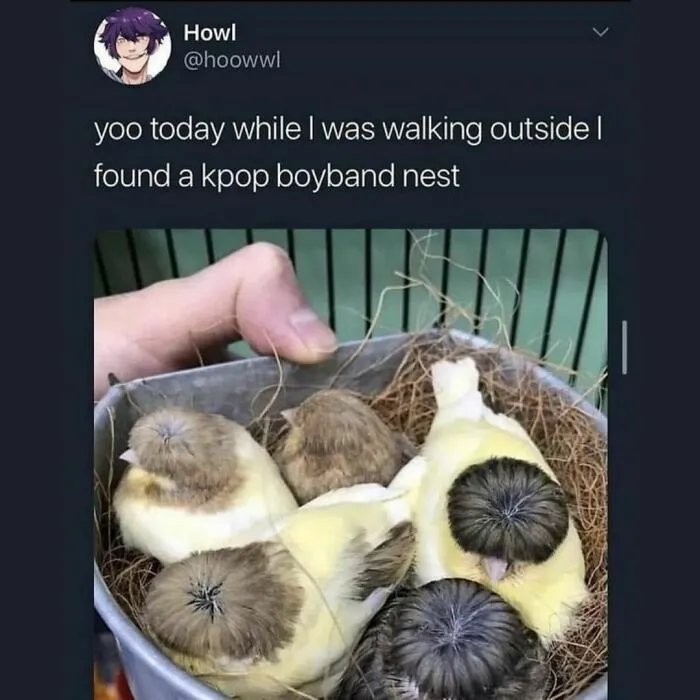 50 Heartwarming Posts To Combat The Negativity Of The World