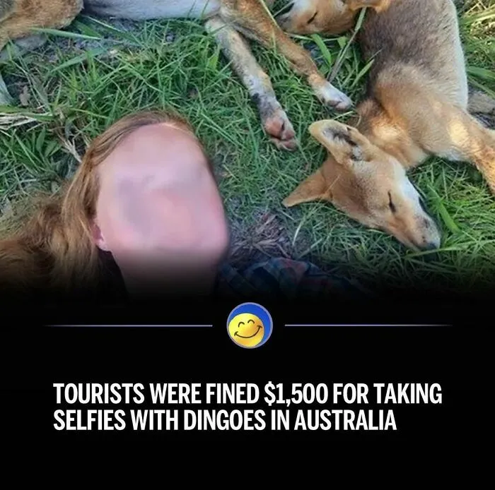 When Influencers Go Too Far: 33 Times Their Craziest Acts For Content Made Headlines