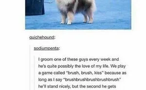 If You Are Having A Bad Day, These 50 Wholesome Posts May Cheer You Up
