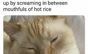 If You Are Having A Bad Day, These 50 Wholesome Posts May Cheer You Up
