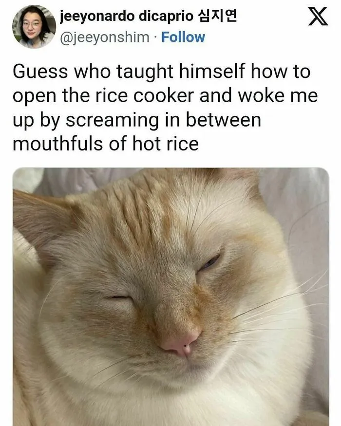Wholesome-Ways-To-Start-The-Day