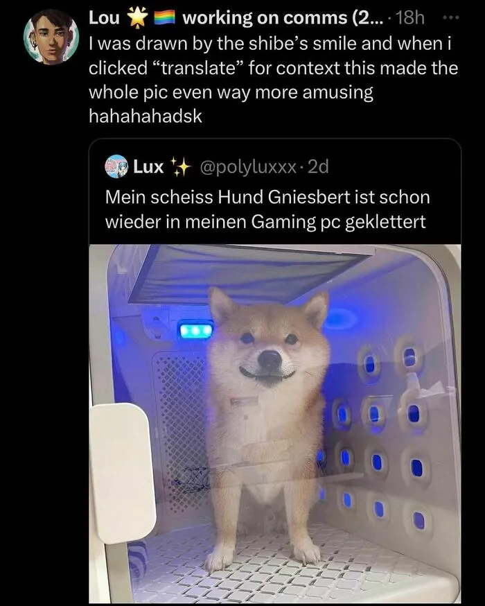 Animal-Memes
