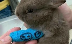50 Very Random Pics To Bring A Sprinkle Of Joy Into Your Life