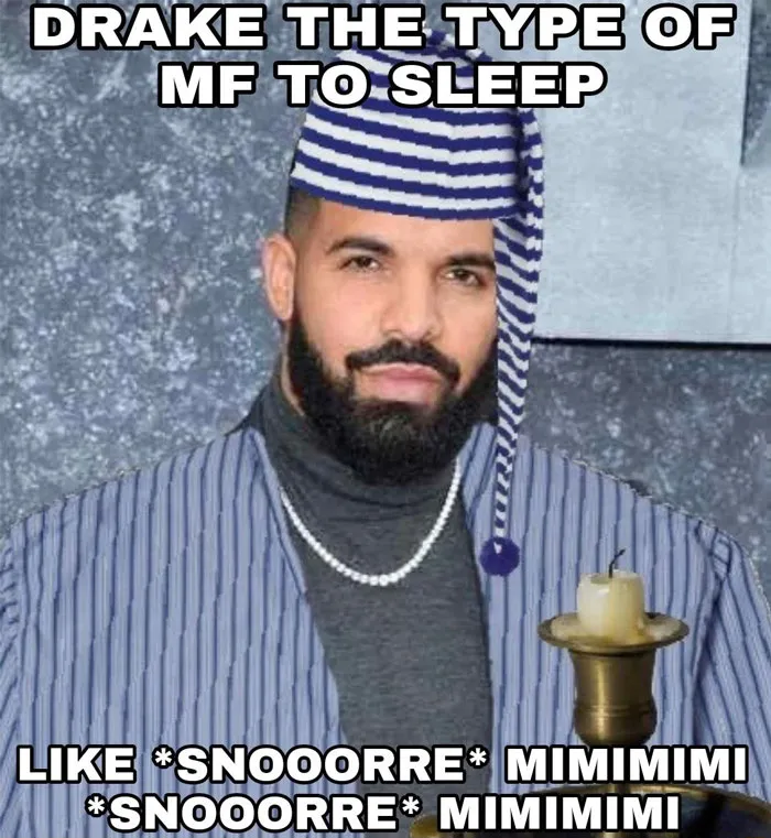  Snoozin’ Drake