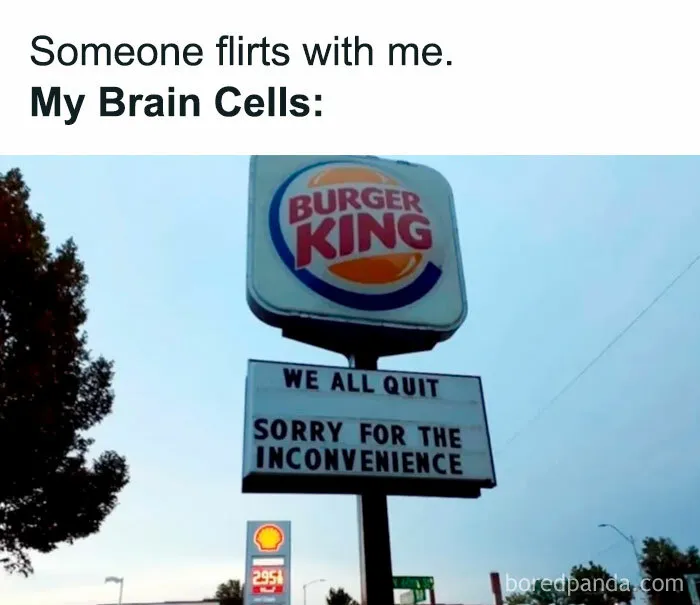 “Sorry for Inconvenience”