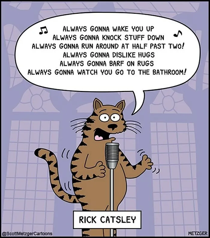 Funny Cat Comics By Scott Metzger That Might Make Every Cat Owner Cry With Laughter (New Pics)
