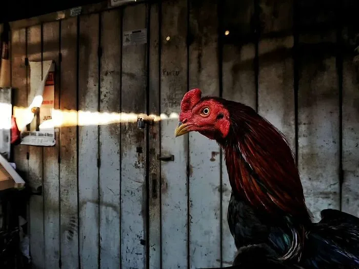Here Are 40 Of The Most Interesting Images Selected By This Instagram Page (New Pics)