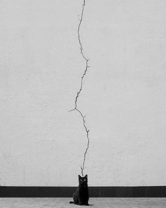 Here Are 40 Of The Most Interesting Images Selected By This Instagram Page (New Pics)