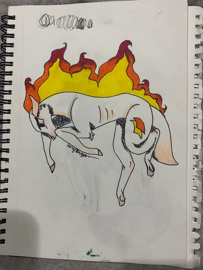 Firefox