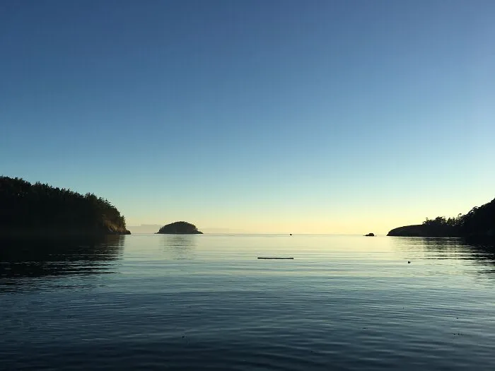 Nature Pictures On Whidbey Island That I Took