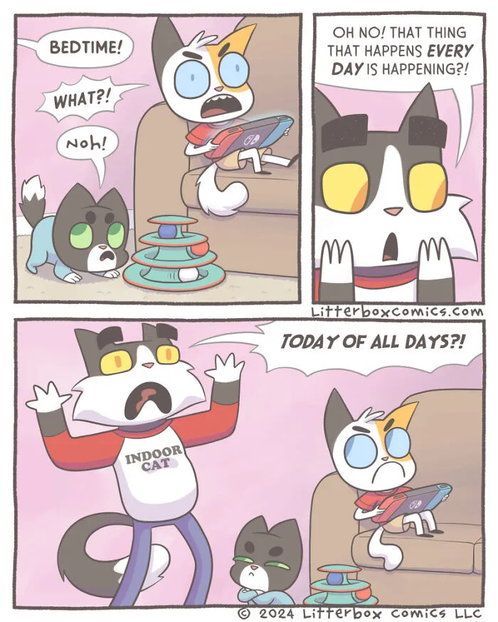 Capturing The Chaos Of Family Life In My Latest Cat Comics (20 New Pics)