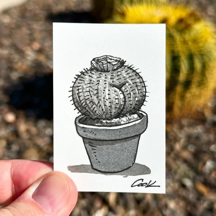 Brian Cook’s Cheeky Drawings Might Make Your Day (35 Pics)
