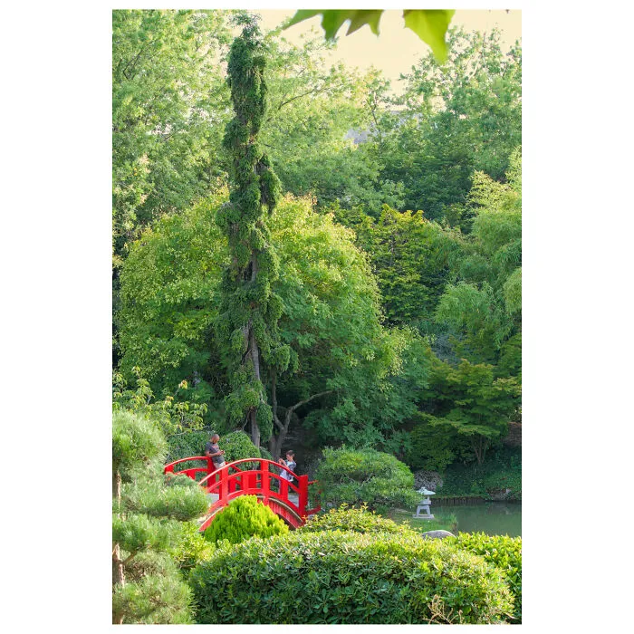 The Japanese Garden Of Toulouse