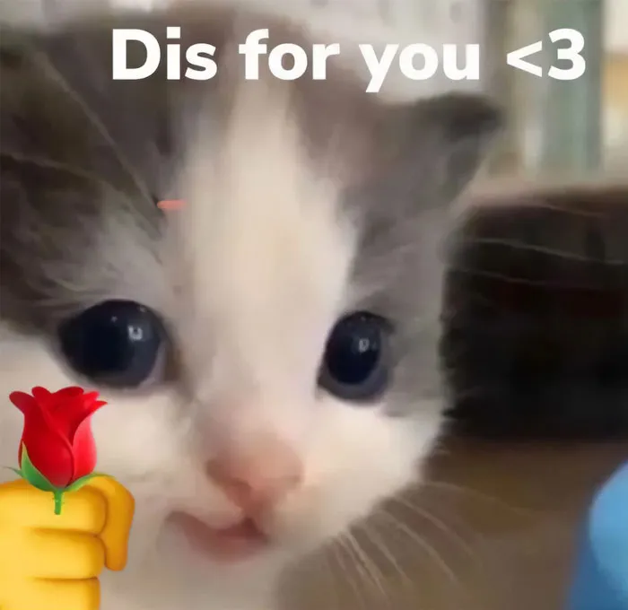 Delivery for You