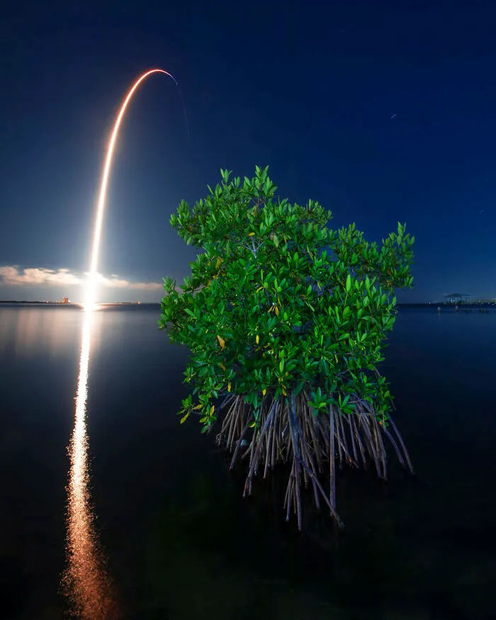 Nature And Space By Jeff Thamert, USA