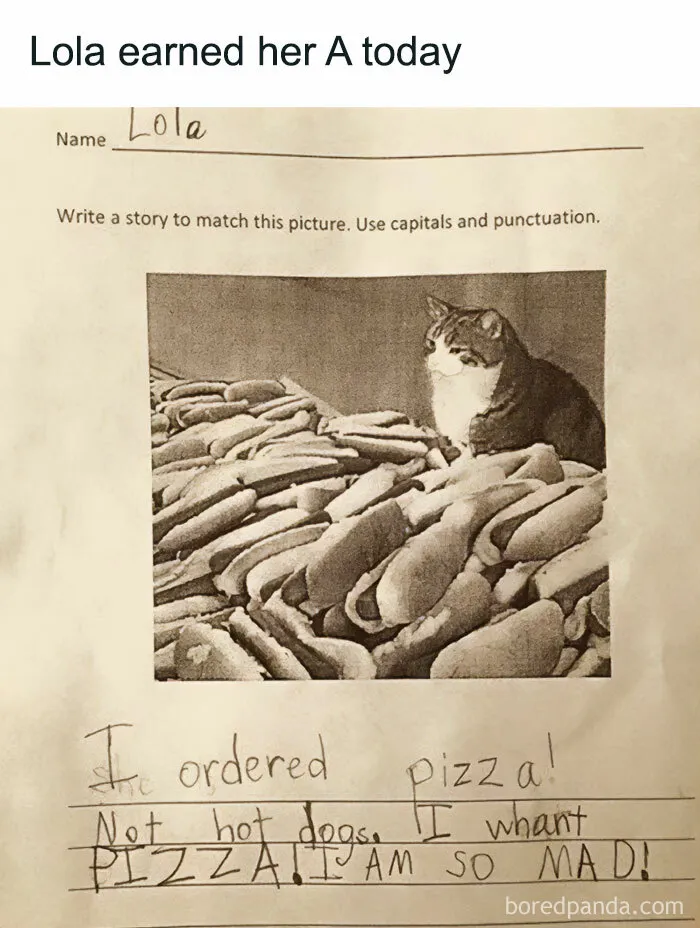 A School Assignment Masterpiece
