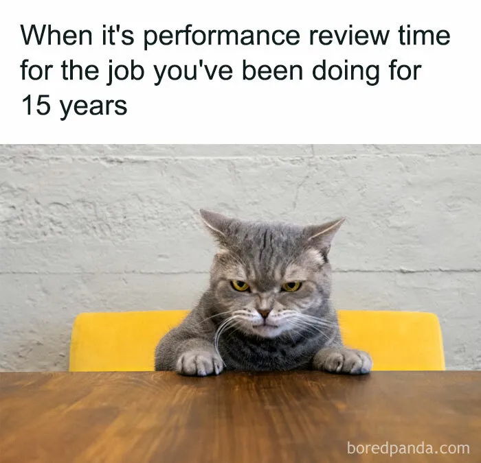Performance Review