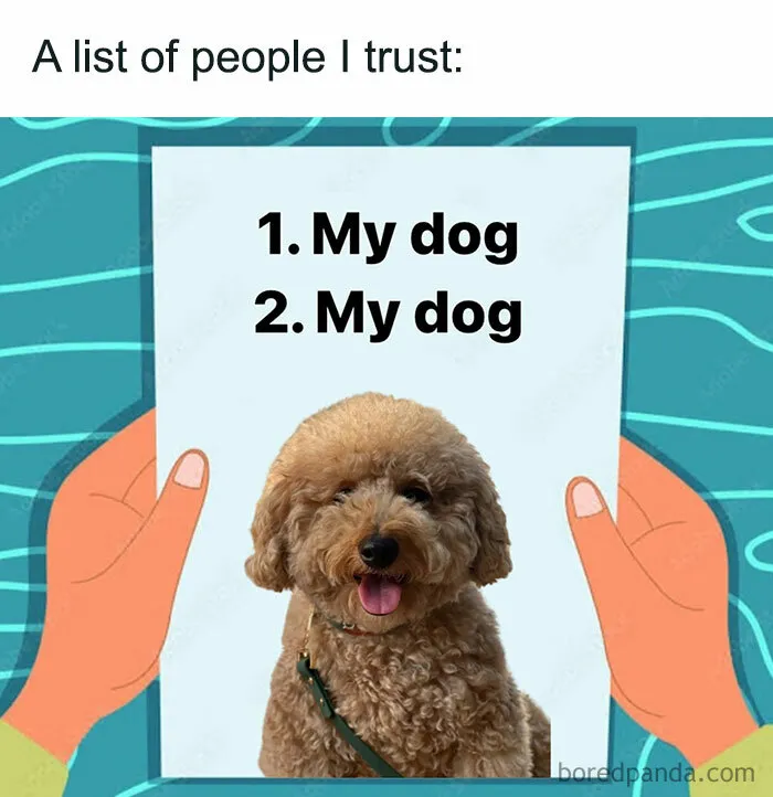 “My Dog Is My One and Only”