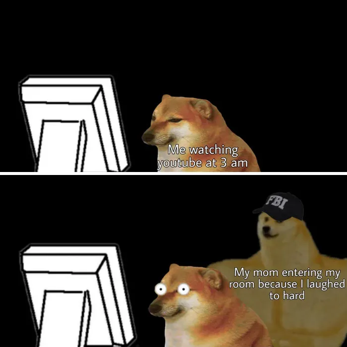Dog meme about mom entering room after late-night laughter at 3am.