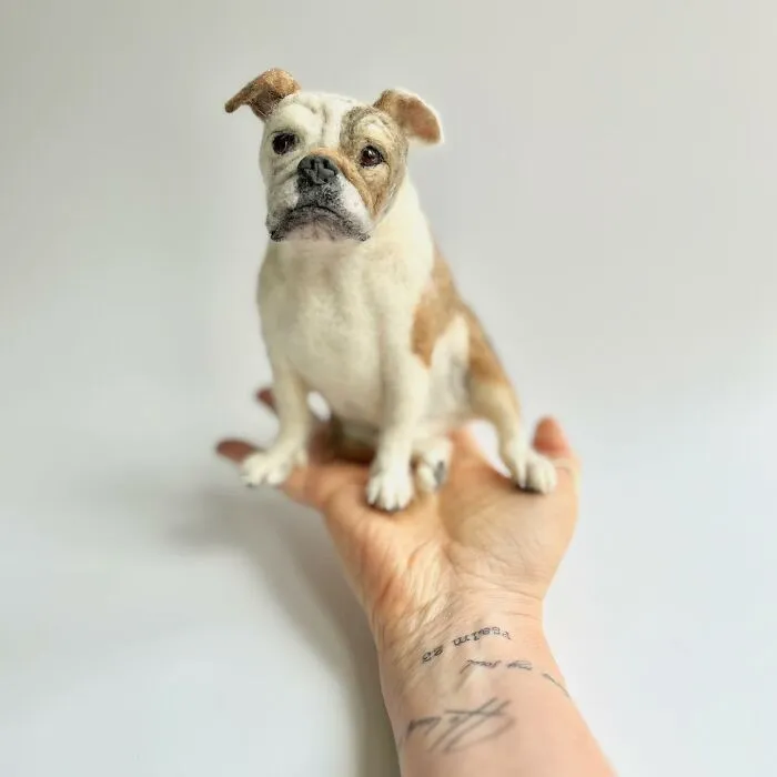 This Artist Makes Extremely Realistic Wool Figures Of Animals, And Here Are 30 Of The Best