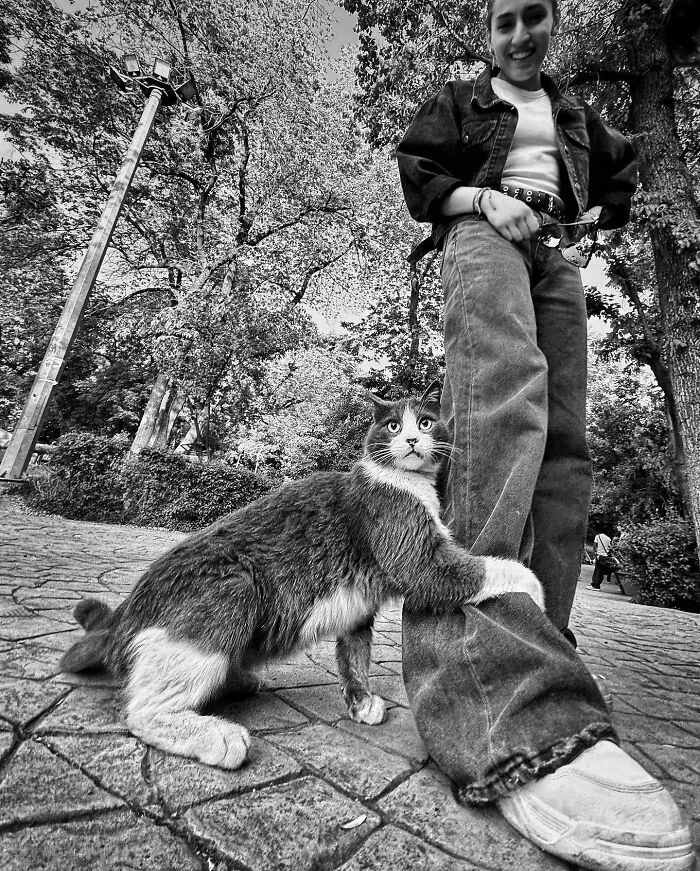 30 Photos Featuring Cat-Tastic Moments Captured By This Photographer