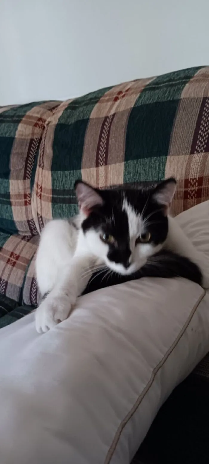 Mine!!! Don't Touch!