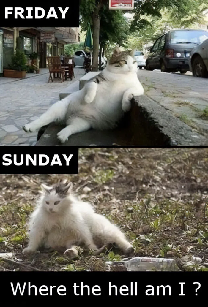 From Fine to Frazzled in a Weekend