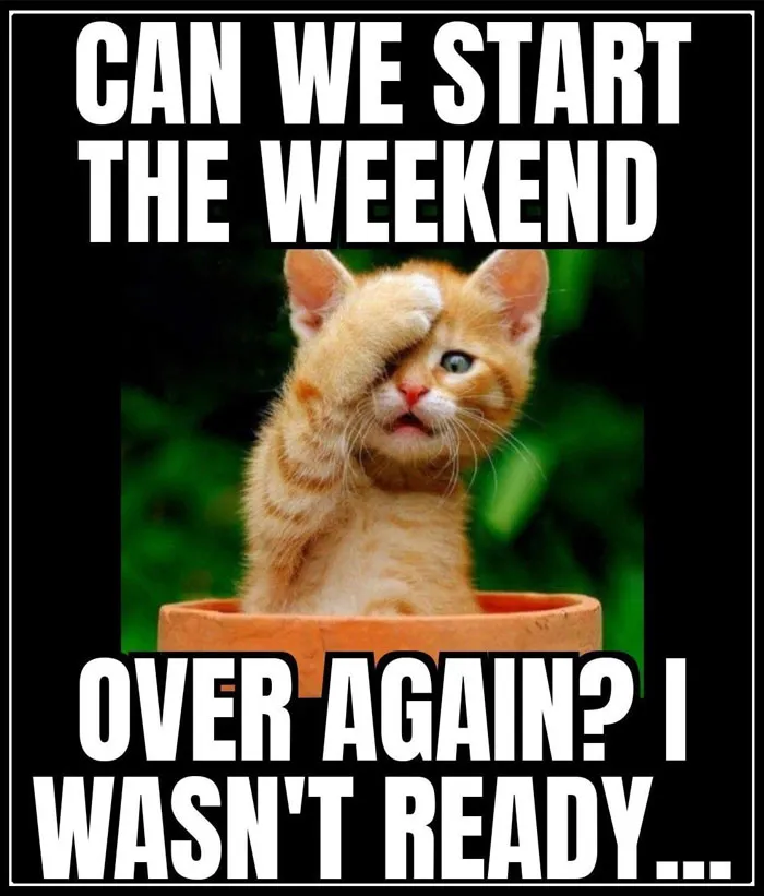 “Start the Weekend Over, Please”