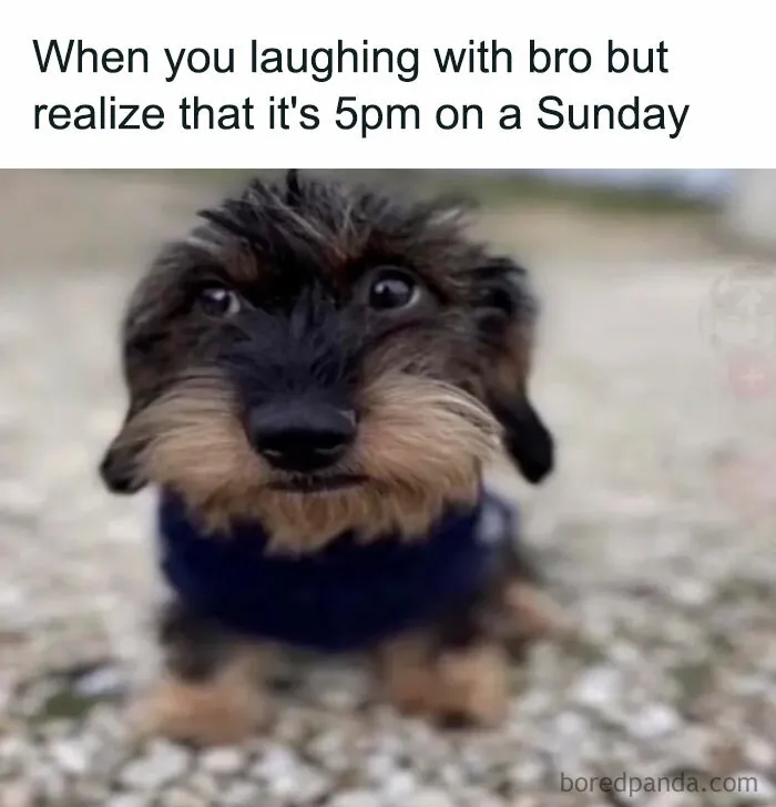 Sunday Realization
