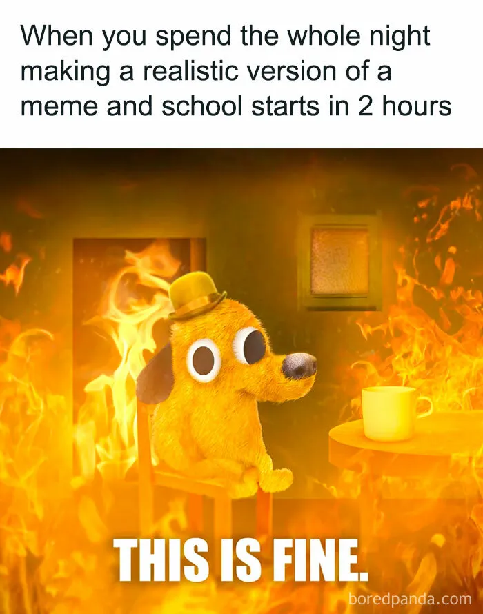 “This is Fine.”