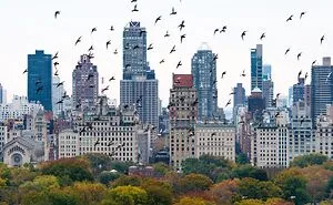 Streets Of New York City: 30 Photos Captured By Paul Kessel