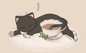 20 Cat Drawings By Mj.Majcha That Are Probably One Of The Cutest Things On The Internet