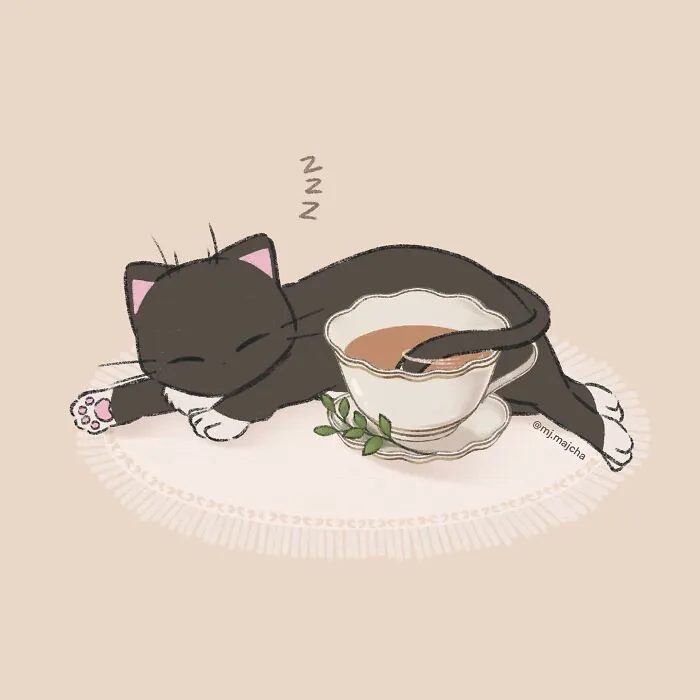 20 Cat Drawings By Mj.Majcha That Are Probably One Of The Cutest Things On The Internet