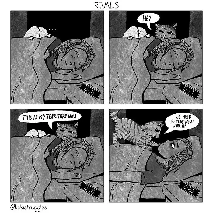 Life And Everyday Struggles: 27 Comics By Keki Struggles