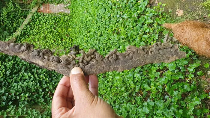 Woody, Dried Muddy...thingy