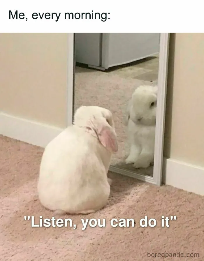 Same Bunny, Different Morning